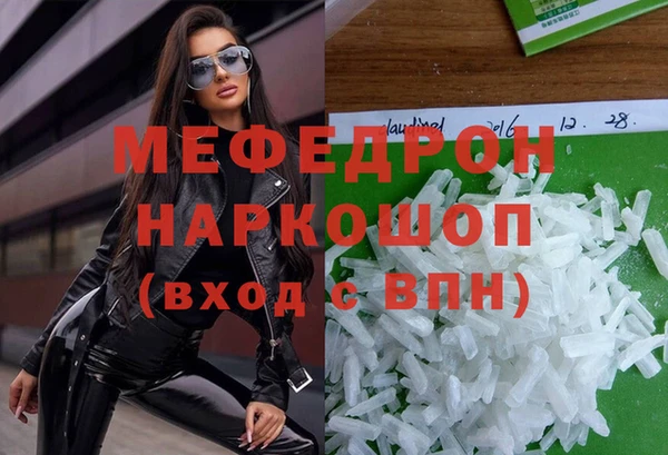 индика Бородино